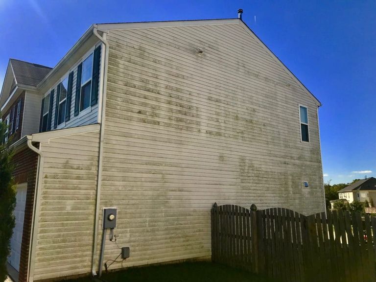 Vinyl siding covered in green algae and mildew before house washing