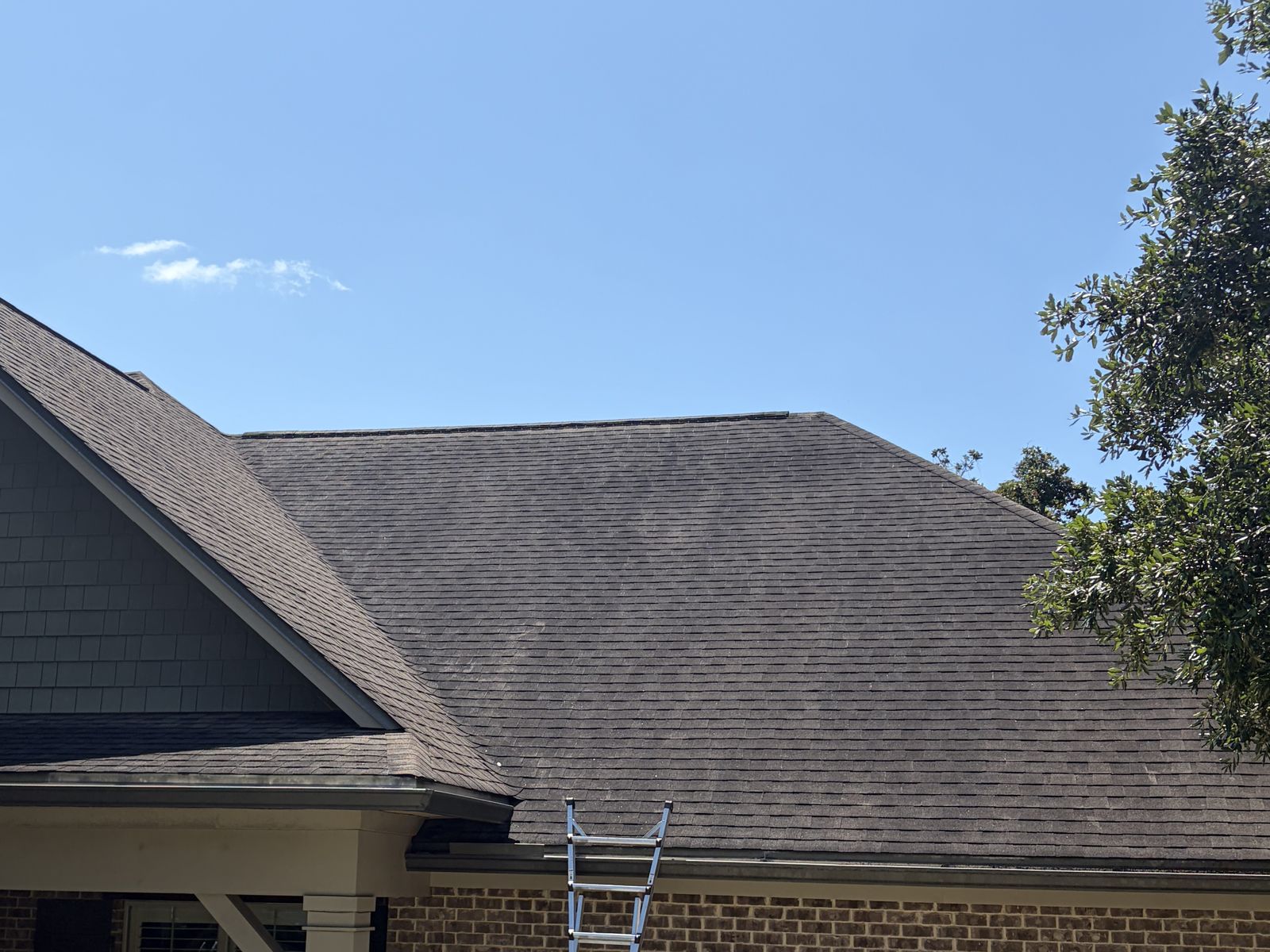Asphalt shingle roof with black algae streaking before roof washing on the Emerald Coast