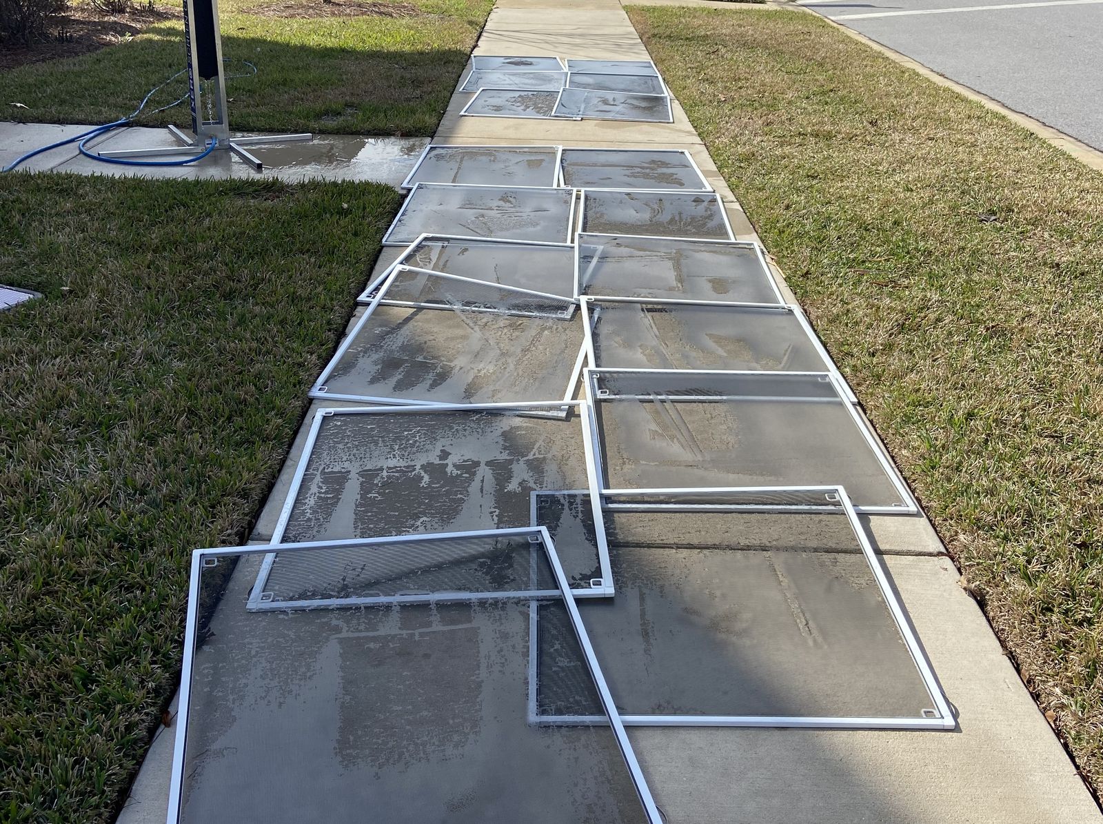A full run of cleaned window screens drying along a sidewalk