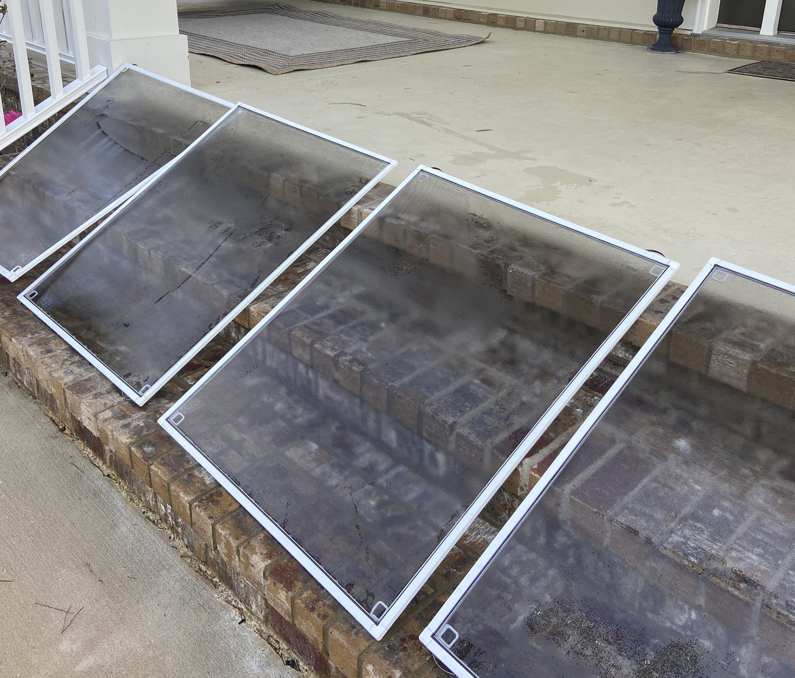 Freshly cleaned window screens set out to dry