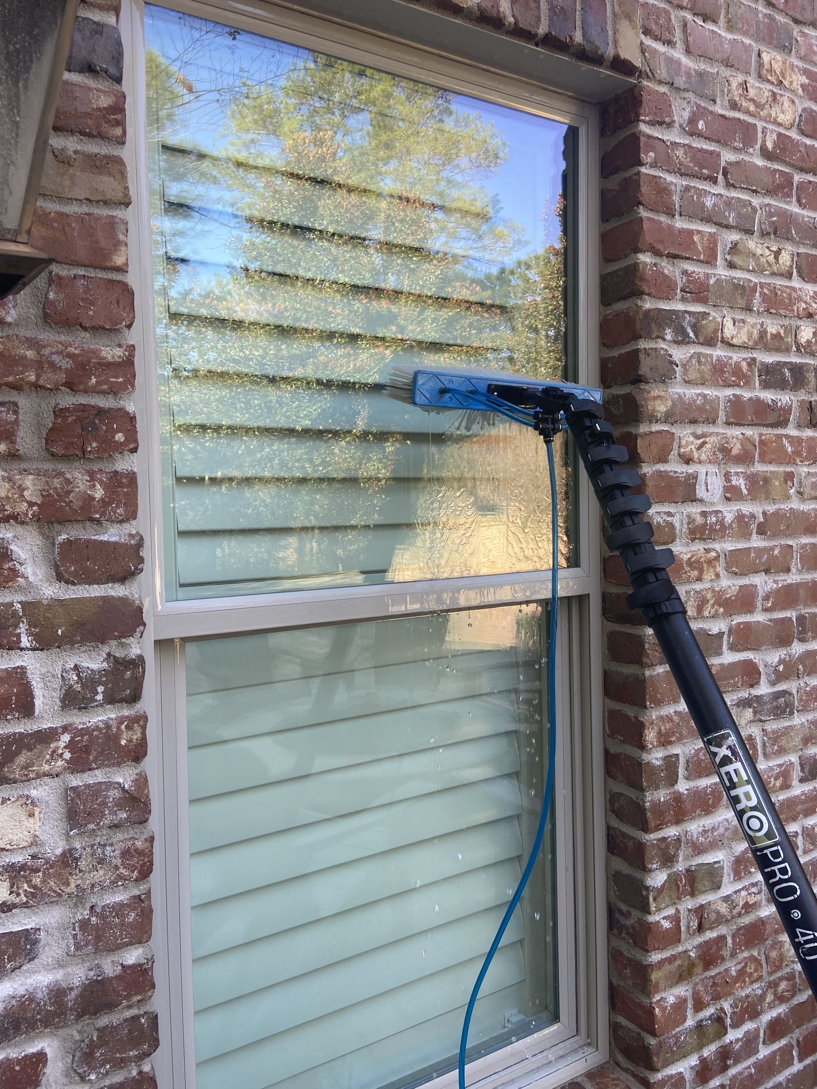 Water-fed pole brush cleaning an exterior window